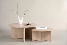 Venture Design Sofa staliukų rinkinys Saltö 65x85 cm balinto medžio