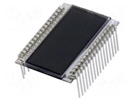 Display: LCD | 7-segment (digital) | STN Positive | No.of dig: 4