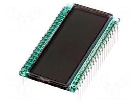 Display: LCD | 7-segment (digital) | STN Positive | No.of dig: 4