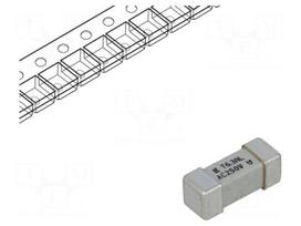 Fuse: fuse | time-lag | 6.3A | SMD | ceramic | 12,1x4,5mm | 465,Nano 2