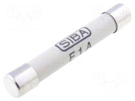 Fuse: fuse | quick blow | 1A | 1.2kVAC | industrial | 8x50mm