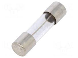 Fuse: fuse | time-lag | 32mA | 250VAC | cylindrical,glass | 5x20mm