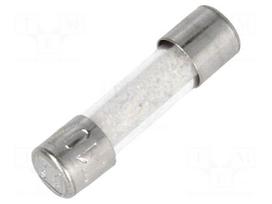 Fuse: fuse | time-lag | 10A | 250VAC | cylindrical,glass | 5x20mm | brass