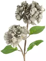 Eurofirany KW/FLORE/872/POP POPI