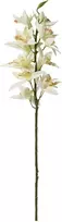 Artflow Dirbtinė orchidėja 76 cm, balta