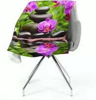 Pledas Orchidėjos sode