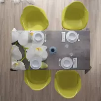 Staltiesė Pilka ir balta