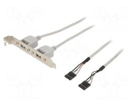 Adapter | brackets on slot | USB A socket x2,5pin pin header x2