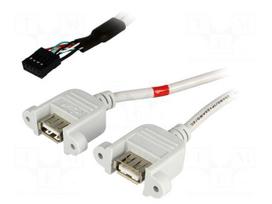 Adapter | USB 2.0 | USB A socket x2,5pin pin header x2 | 0.5m