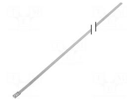 Cable tie | L: 1000mm | W: 4.6mm | acid resistant steel | 445N