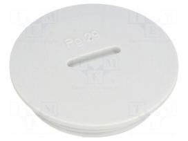Stopper | PG29 | IP54 | Mat: polystyrene | light grey