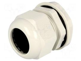 Cable gland | PG29 | IP68 | Mat: polyamide | grey | UL94V-2 | 20.5mm