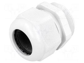 Cable gland | PG29 | IP68 | Mat: polyamide