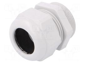 Cable gland | PG29 | IP68 | Mat: polyamide | light grey | UL94V-0