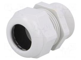 Cable gland | with long thread | PG29 | IP68 | Mat: polyamide | UL94V-0