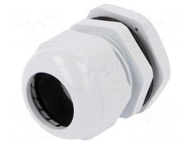 Cable gland | PG29 | IP67 | Mat: polyamide | grey