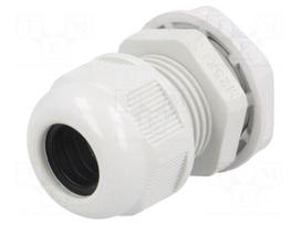Cable gland | M25 | 1,5 | IP65 | Mat: polyamide | grey