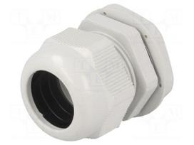 Cable gland | PG29 | IP65 | Mat: polyamide | grey