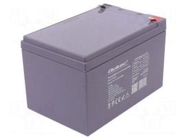 Re-battery: acid-lead | 12V | 12Ah | AGM | maintenance-free