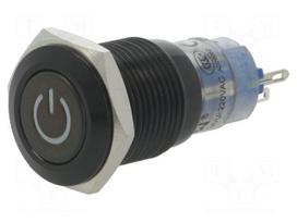 Switch: vandal resistant | Pos: 2 | SPDT | 0.5A/220VAC | 1A/24VDC | IP40