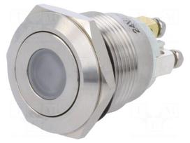 Switch: vandal resistant | Pos: 2 | SPST-NO | 0.5A/220VAC | 2A/36VDC