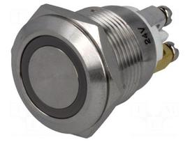Switch: vandal resistant | Pos: 2 | SPST-NO | 2A/36VDC | IP65 | OFF-(ON)