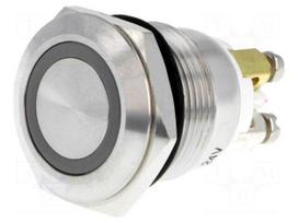 Switch: vandal resistant | Pos: 2 | SPST-NO | 2A/36VDC | IP65 | OFF-(ON)