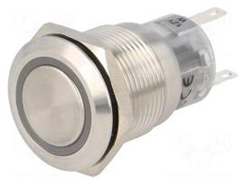 Switch: vandal resistant | Pos: 2 | SPDT | 0.5A/220VAC | 1A/24VDC | IP67