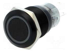 Switch: vandal resistant | Pos: 2 | SPDT | 0.5A/220VAC | 1A/24VDC | IP67