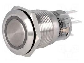 Switch: vandal resistant | Pos: 2 | SPDT | 0.5A/220VAC | 1A/24VDC | IP67