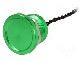 Switch: piezoelectric | Pos: 2 | SPST-NO | 0.2A/24VAC | 0.2A/24VDC