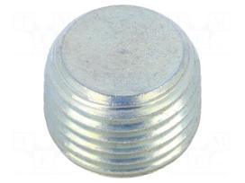 Hexagon head screw plug | without micro encapsulation | DIN: 906