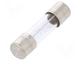 Fuse: fuse | time-lag | 100mA | 250VAC | cylindrical,glass | 5x20mm