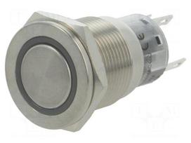 Switch: vandal resistant | Pos: 2 | SPDT | 0.5A/220VAC | 1A/24VDC | IP67