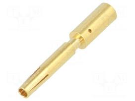 Contact | Size: 1,5mm | female | 2.5mm2 | M12 Power | gold-plated