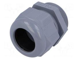 Cable gland | PG29 | IP68 | Mat: polyamide | dark grey