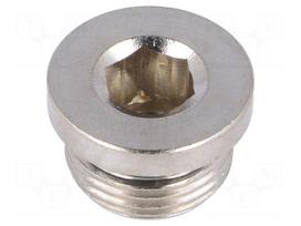 Protection cap | G 3/8" | 75bar | Mat: nickel plated brass