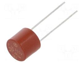 Fuse: fuse | time-lag | 4A | 300VAC | TR5