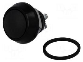 Switch: vandal resistant | Pos: 2 | SPST-NO | 2A/36VDC | IP65 | OFF-(ON)