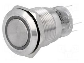 Switch: vandal resistant | Pos: 2 | SPDT | 0.5A/220VAC | 1A/24VDC | IP67