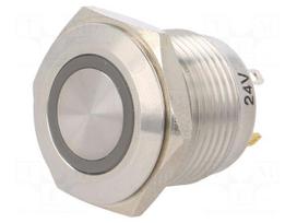 Switch: vandal resistant | Pos: 2 | SPST-NO | 2A/36VDC | IP65 | OFF-(ON)