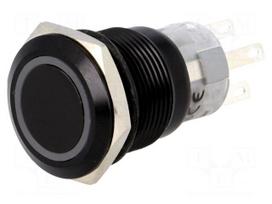 Switch: vandal resistant | Pos: 2 | SPDT | 0.5A/220VAC | 1A/24VDC | IP67