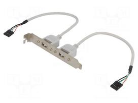 Adapter | brackets on slot | USB A socket x2,5pin pin header x2