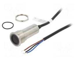 Switch: vandal resistant | Pos: 2 | SPST-NO | 300mA/24VDC | IP65 | 1.5kV