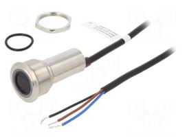 Switch: vandal resistant | Pos: 2 | SPST-NO | 300mA/24VDC | IP65 | 1.5kV