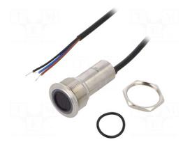 Switch: vandal resistant | Pos: 2 | SPST-NO | 300mA/24VDC | IP65 | 1.5kV