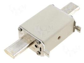Fuse: fuse | ceramic,industrial | 100A | 500VAC | 440VDC | gG | NH2
