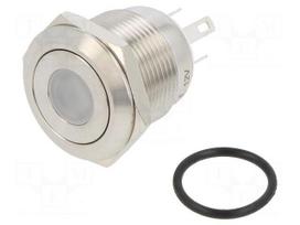 Switch: vandal resistant | Pos: 2 | SPST-NO | 0.5A/220VAC | 2A/36VDC