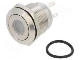 Switch: vandal resistant | Pos: 2 | SPST-NO | 0.5A/220VAC | 2A/36VDC