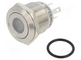 Switch: vandal resistant | Pos: 2 | SPST-NO | 0.5A/220VAC | 2A/36VDC